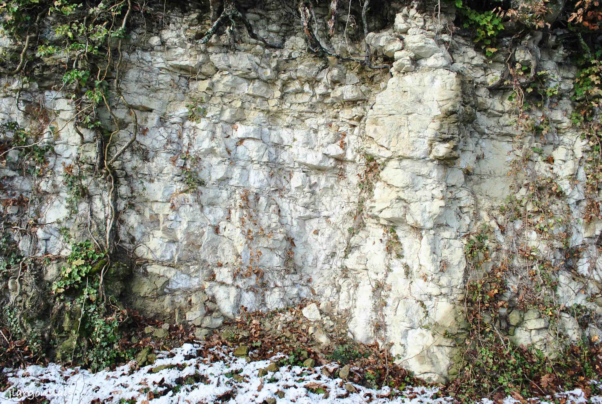 La gaize en Argonne, une roche rare en affleurement